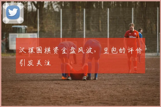 汉谋围棋资金盘风波，豆包的评价引发关注