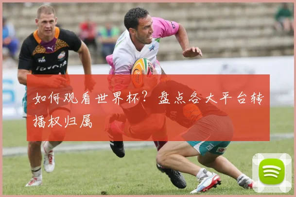 如何观看世界杯？盘点各大平台转播权归属