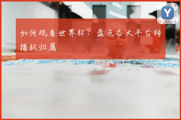 如何观看世界杯？盘点各大平台转播权归属