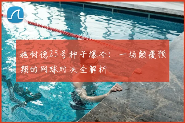 施耐德25号种子爆冷：一场颠覆预期的网球对决全解析