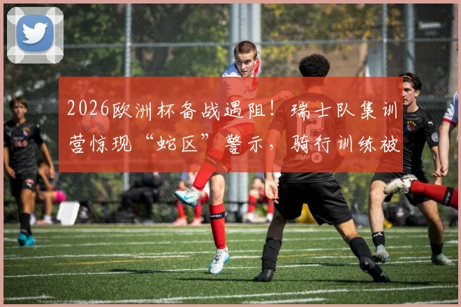2026欧洲杯备战遇阻！瑞士队集训营惊现“蛇区”警示，骑行训练被迫紧急取消，赛事安全保障引关注